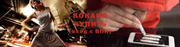 дживик Медвежьегорск