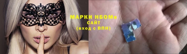 стаф Медногорск
