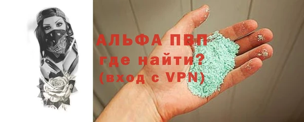 стаф Медногорск