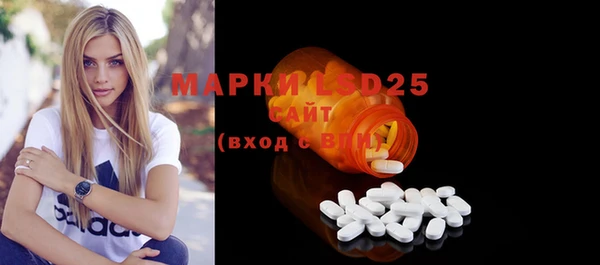 стаф Медногорск