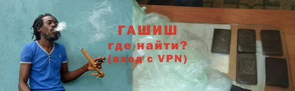 стаф Медногорск