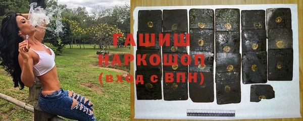 стаф Медногорск
