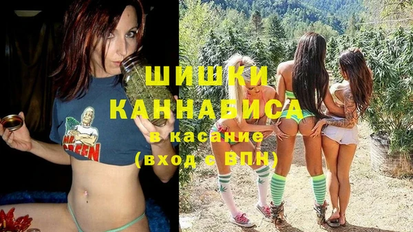 дживик Медвежьегорск