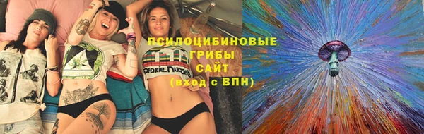 стаф Медногорск