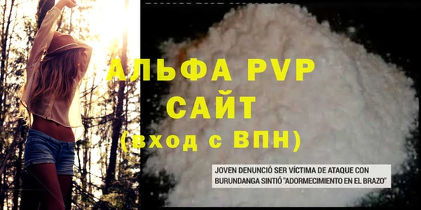 стаф Медногорск