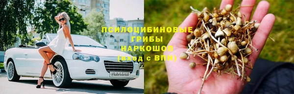 дживик Медвежьегорск