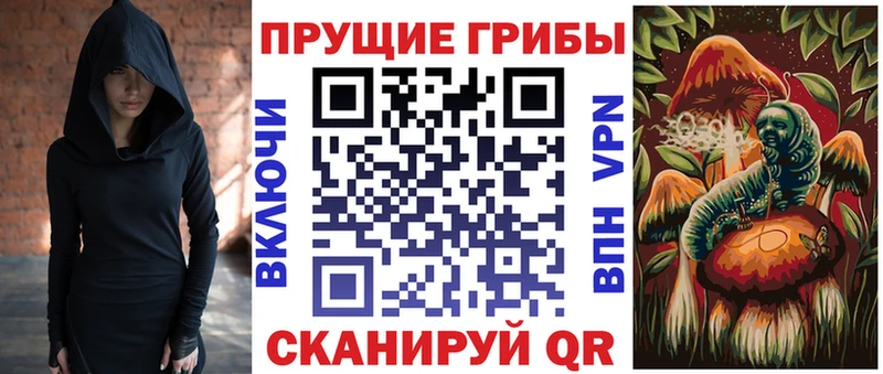 Галлюциногенные грибы Psilocybine cubensis  где продают наркотики  Тосно 