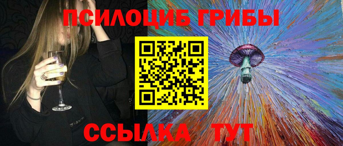 Галлюциногенные грибы Cubensis  Псилоцибиновые грибы Cubensis  Тосно 