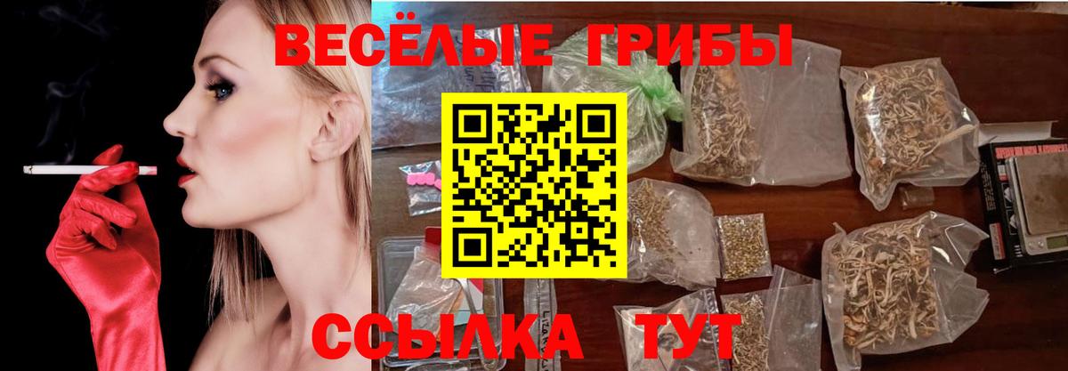 Галлюциногенные грибы GOLDEN TEACHER  Вход с VPN  Тосно 
