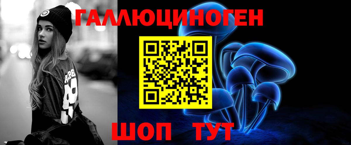 Псилоцибиновые грибы Psilocybe Тосно